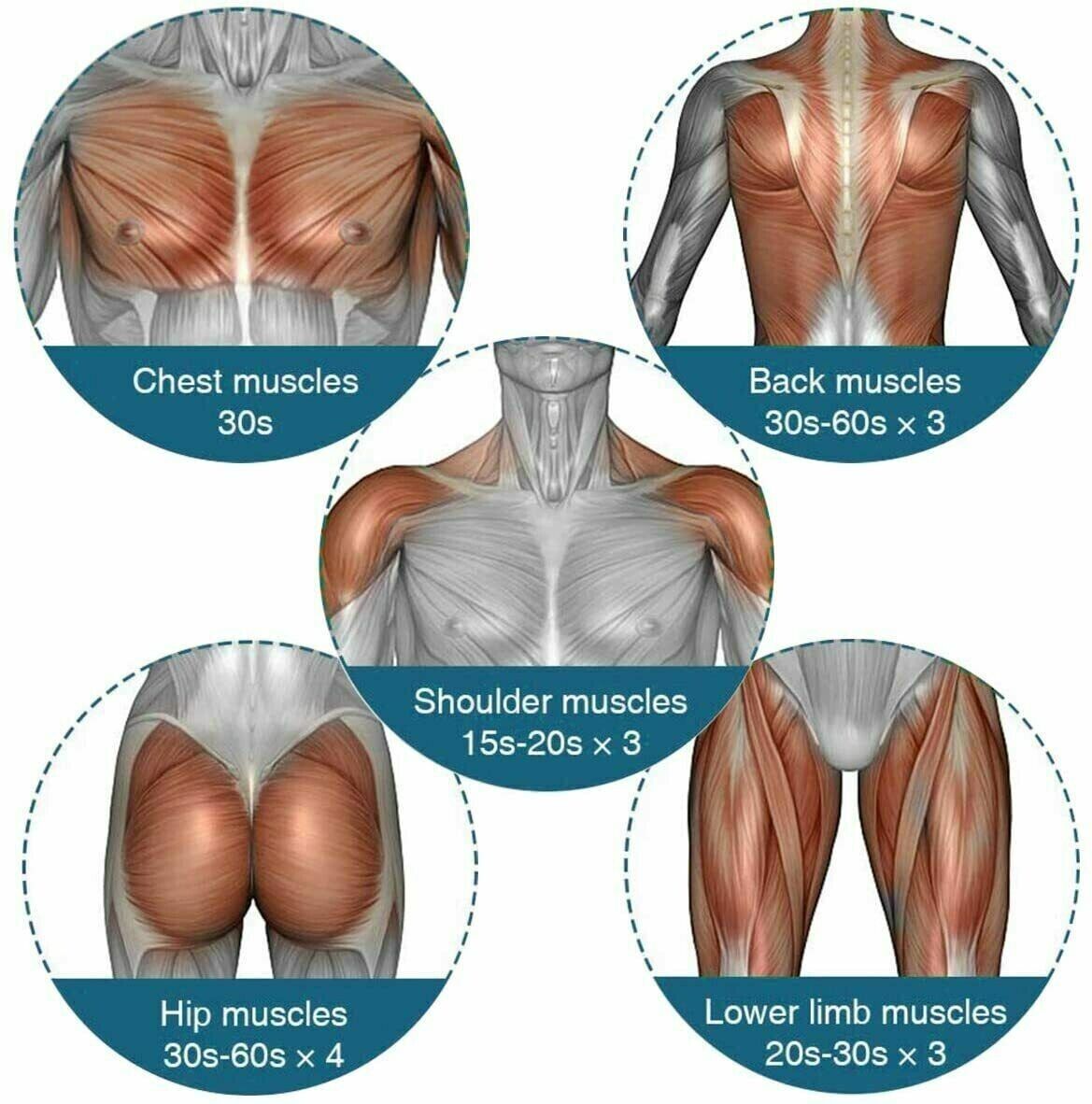 Massage Gun Percussion Massager with four interchangeable heads for deep tissue muscle relaxation.