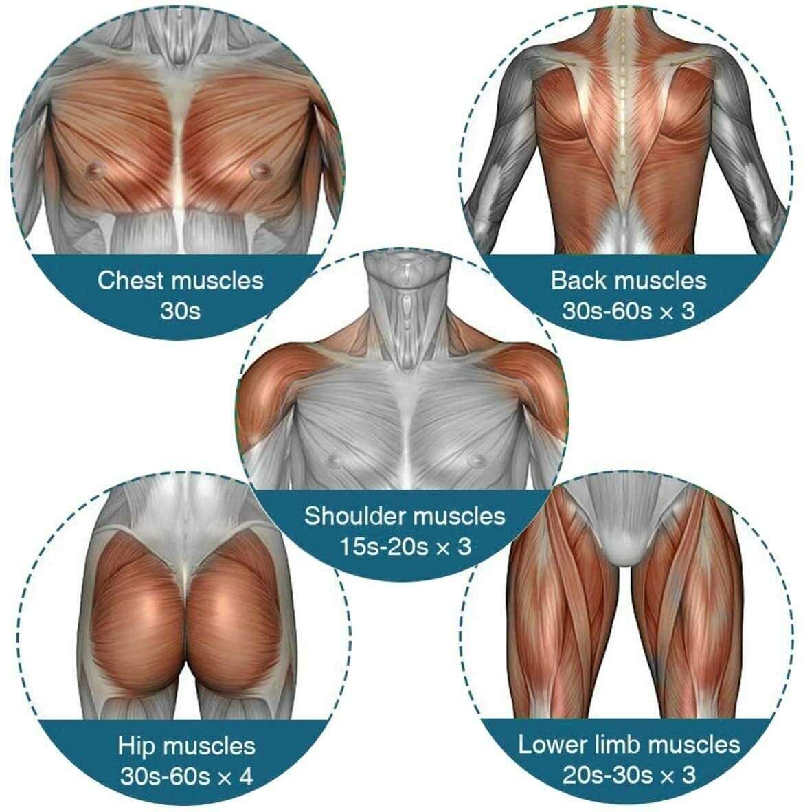 Massage Gun Percussion Massager with four interchangeable heads for deep tissue muscle relaxation.