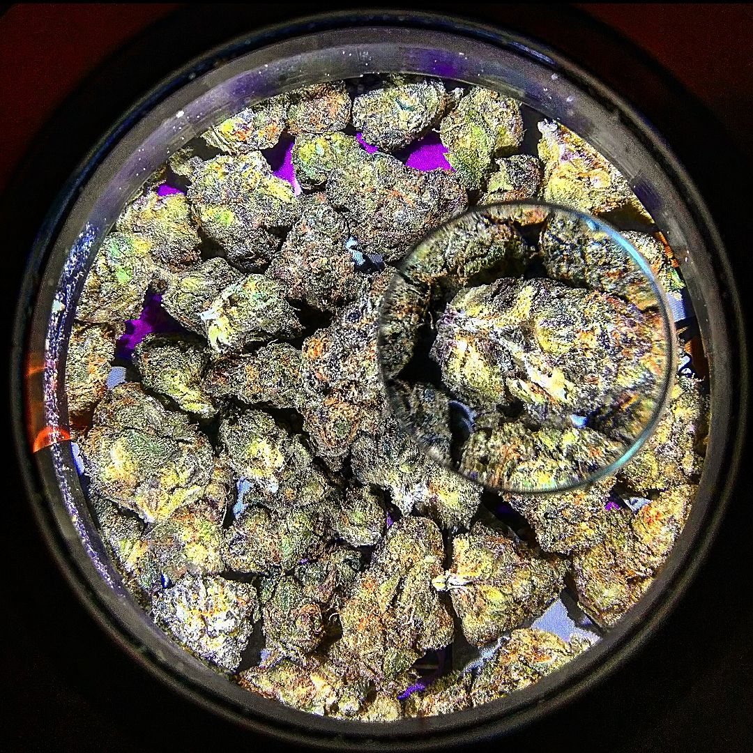 MasonBrite v3.0 Cannabis Display Kit showcasing its sleek design and features.