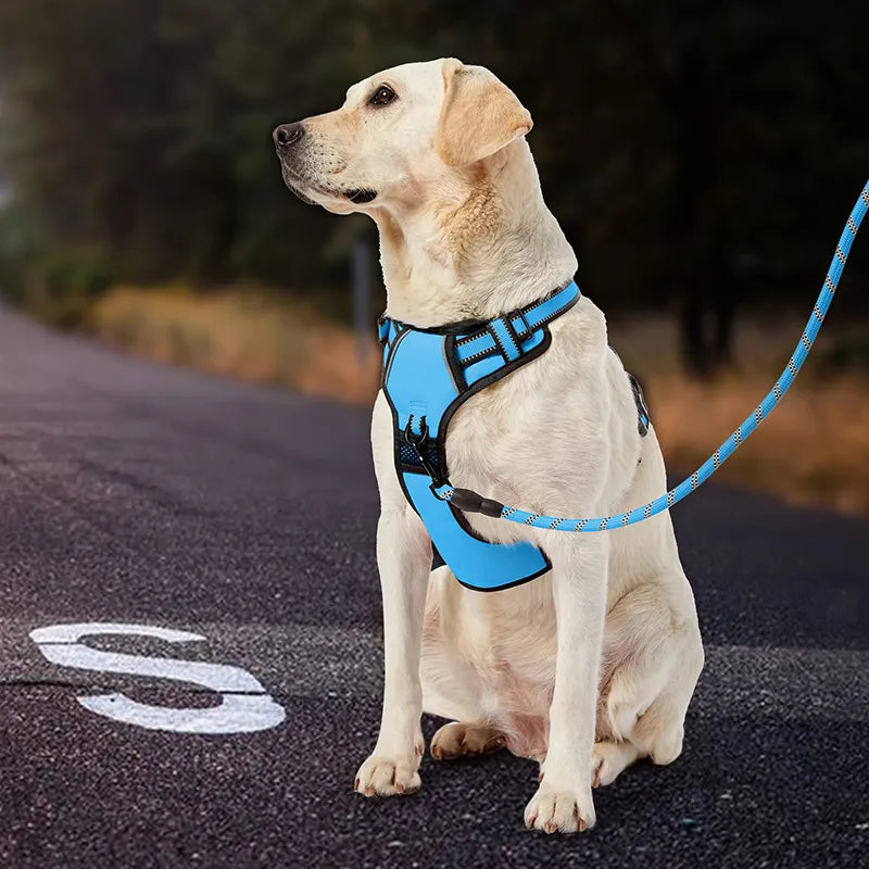 No Pull Dog Harness featuring padded design, reflective strips, and control handle for small to large dogs.