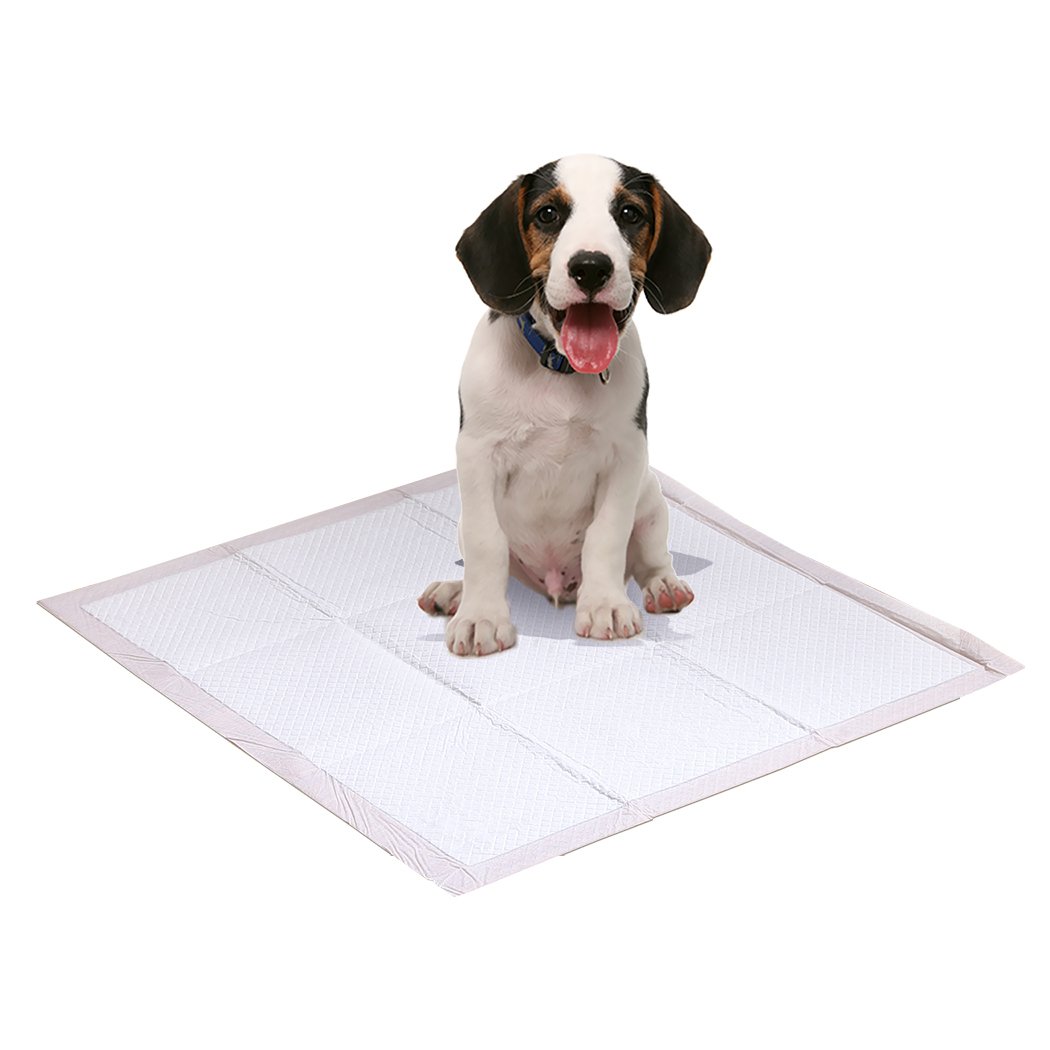 PaWz 200 Pcs absorbent pet training pads, 60x60 cm, designed for puppy toilet training with a soft surface and leakproof layer.