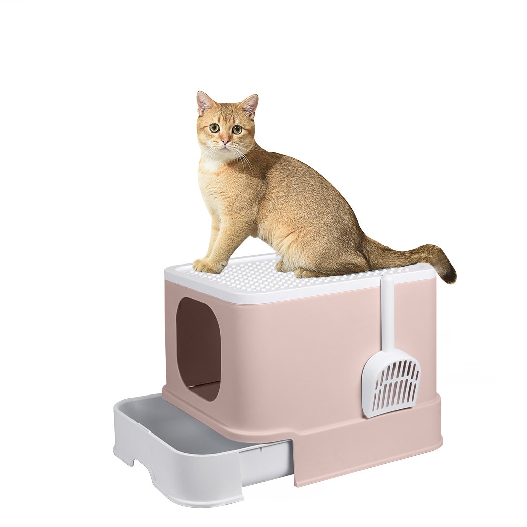 PaWz Cat Litter Box in coffee color, fully enclosed design with double doors and removable drawer for easy cleaning.