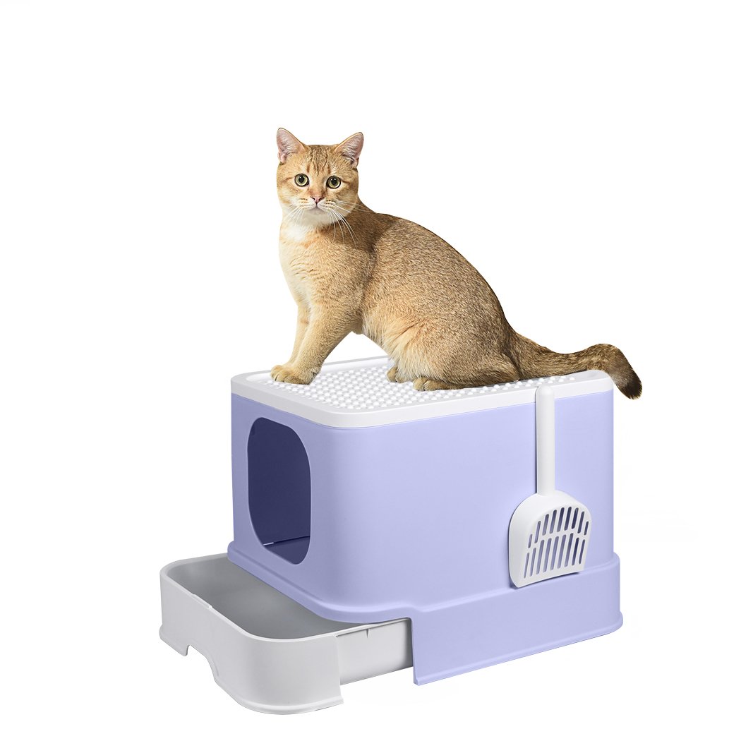 PaWz Cat Litter Box in purple color with double-door design and removable drawer for easy cleaning.