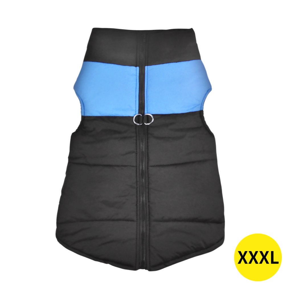 PaWz Dog Winter Jacket in blue, padded and waterproof, designed for comfort and protection against cold weather.