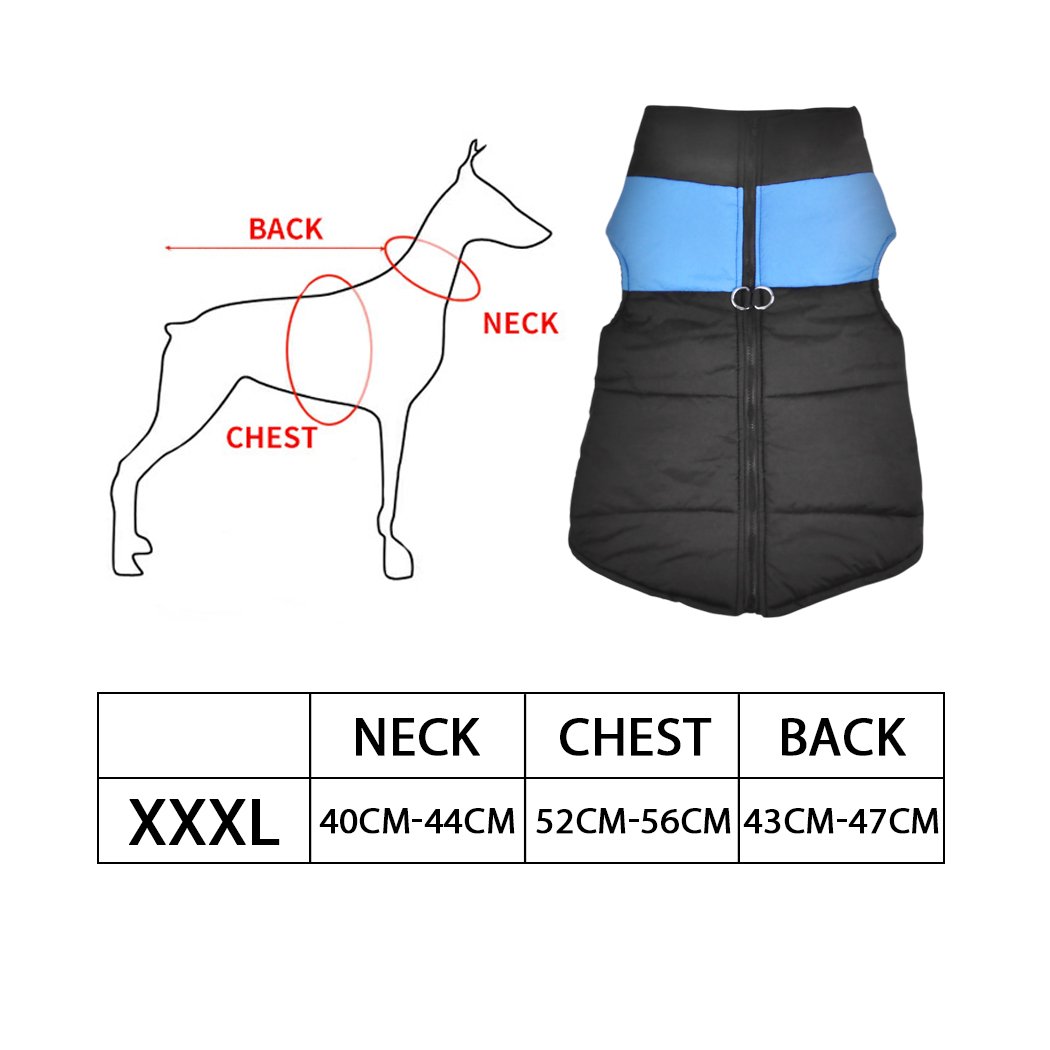 PaWz Dog Winter Jacket in blue, padded and waterproof, designed for comfort and protection against cold weather.
