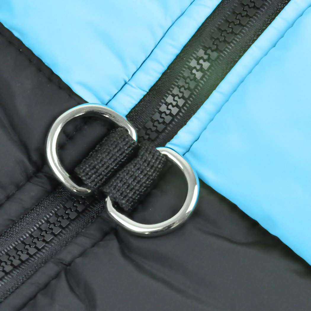 PaWz Dog Winter Jacket in blue, padded and waterproof, designed for comfort and protection against cold weather.