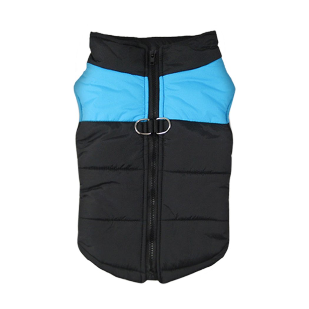 PaWz Dog Winter Jacket in blue, padded and waterproof, designed for comfort and warmth during winter walks.