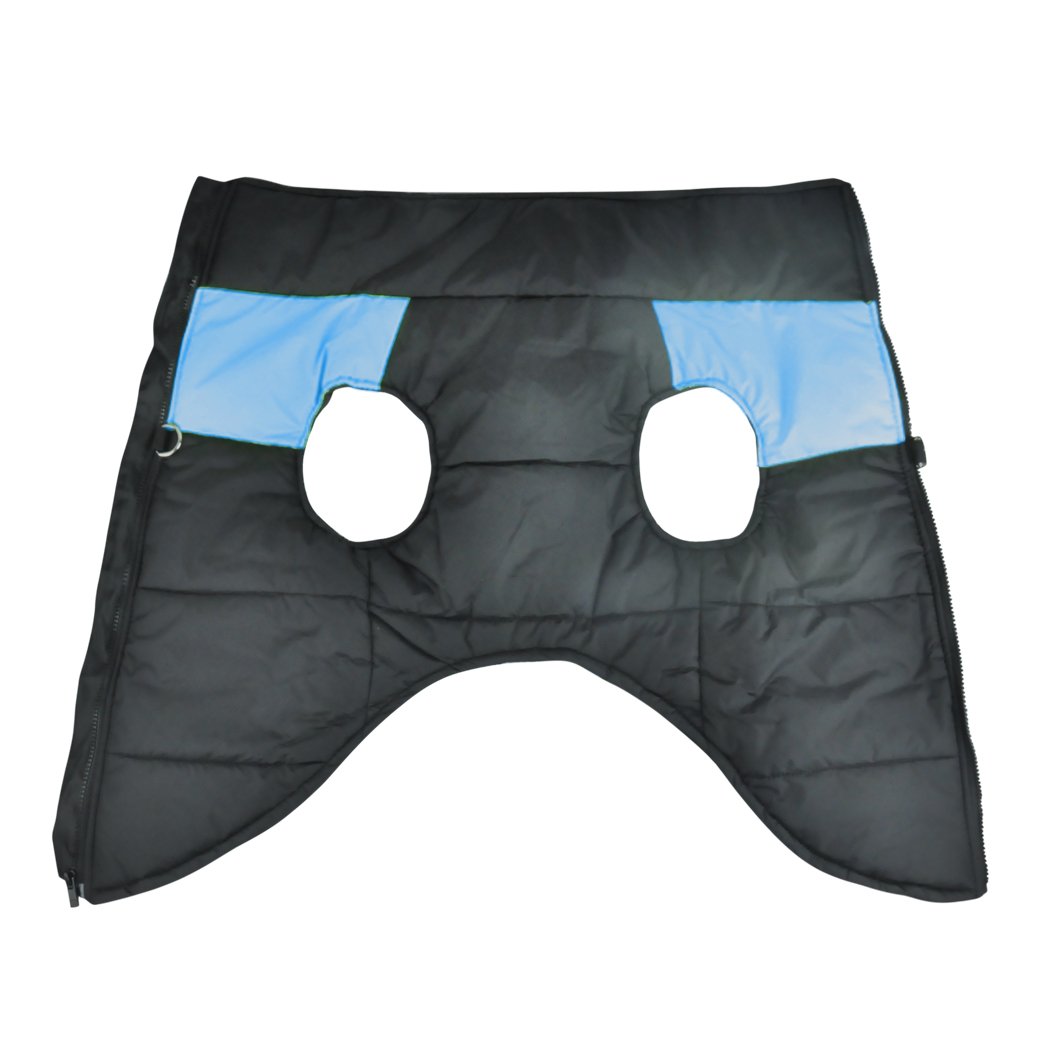 PaWz Dog Winter Jacket in blue, padded and waterproof, designed for comfort and warmth during winter walks.