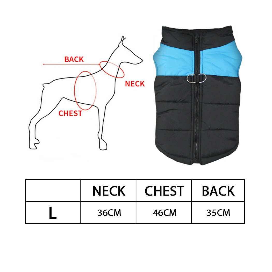 PaWz Dog Winter Jacket in blue, padded and waterproof, designed for comfort and warmth during winter walks.