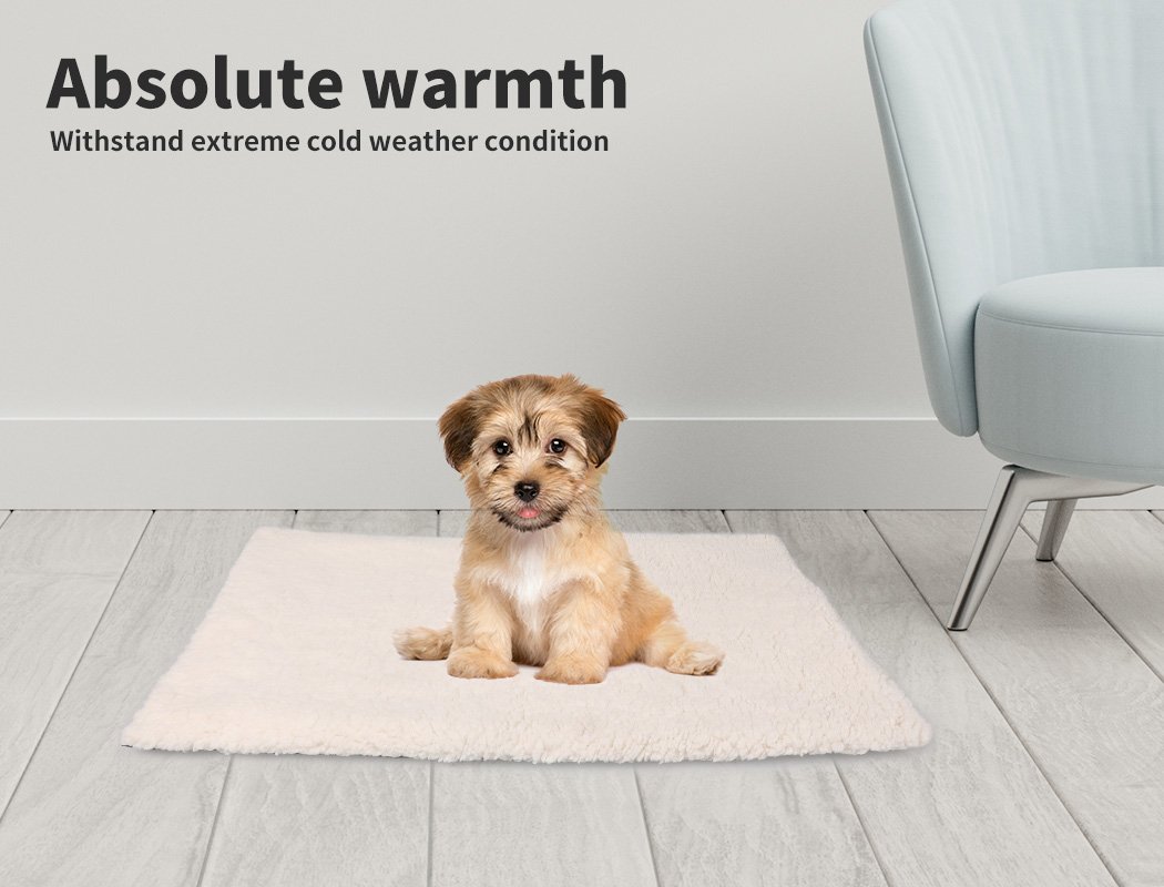 PaWz Heated Pet Bed featuring a soft cashmere wool surface and anti-slip bottom, designed for pet comfort and safety during winter.