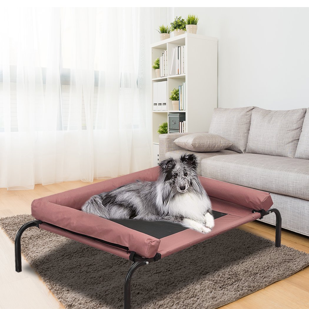 PaWz Pet Bed featuring a heavy-duty steel frame and removable bolster, designed for comfort and durability for dogs and puppies.