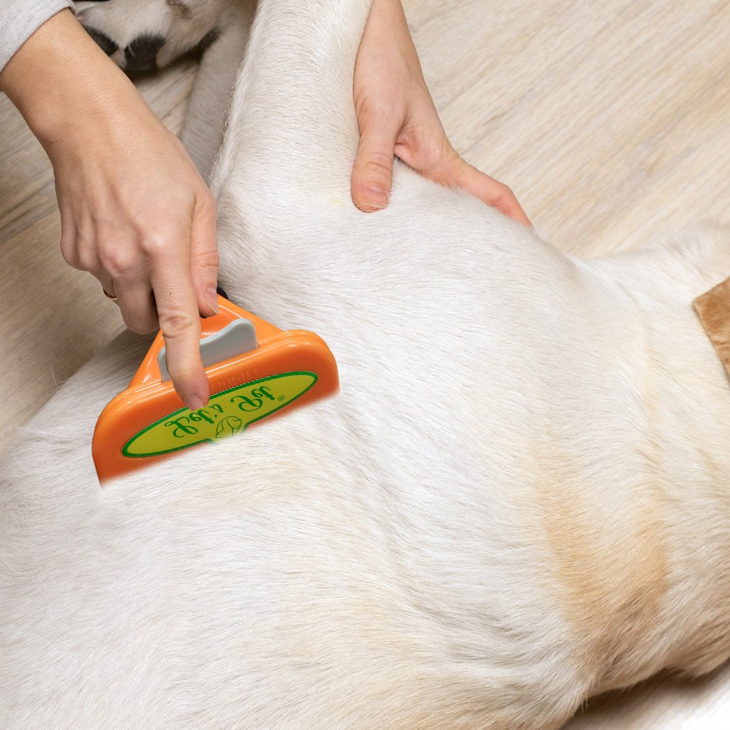 PaWz Pet Dog Cat Comb Massager Grooming Brush with stainless steel teeth and non-slip handle, designed for effective pet grooming.