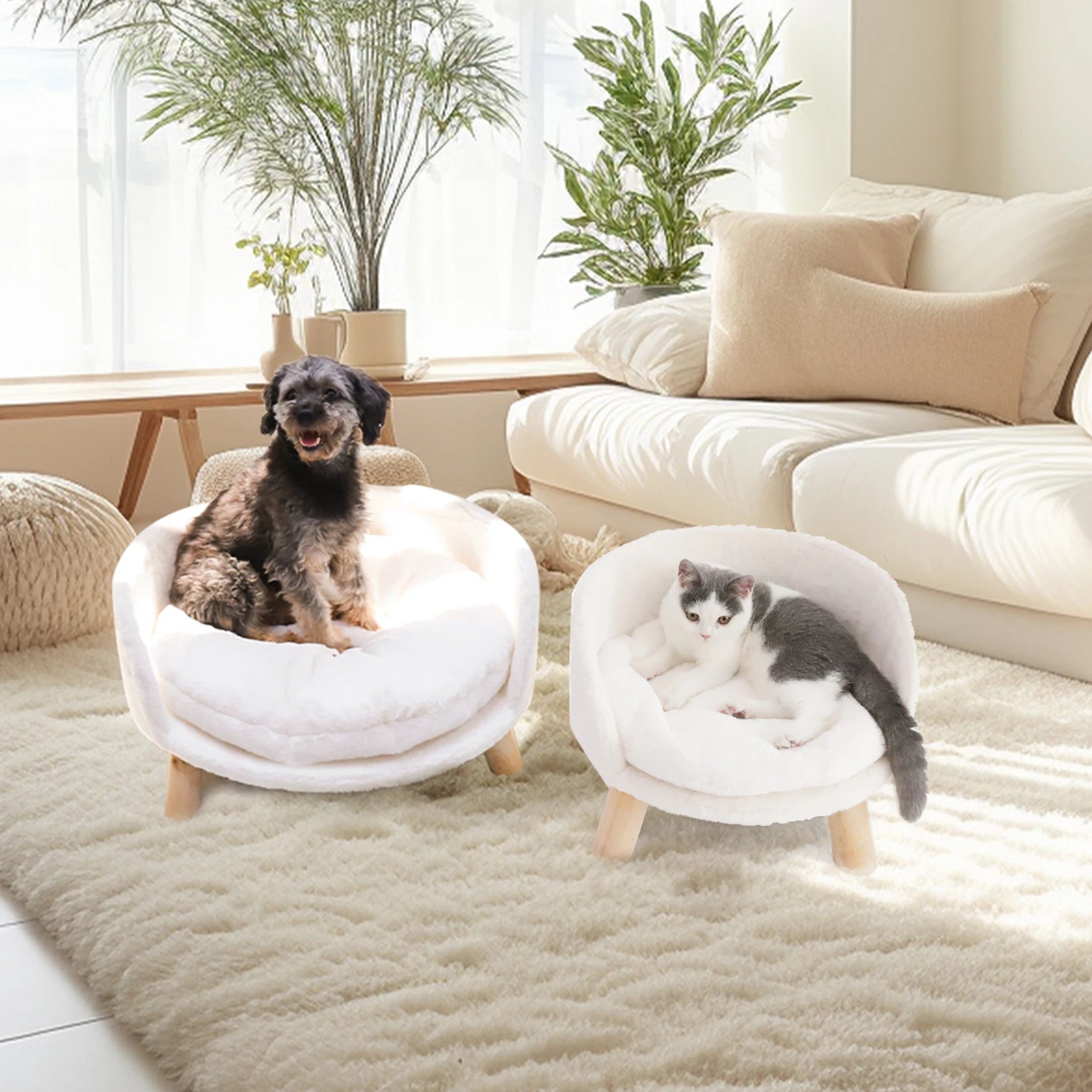 A stylish pet sofa bed designed for small dogs and cats, featuring a removable cushion and raised structure for comfort.