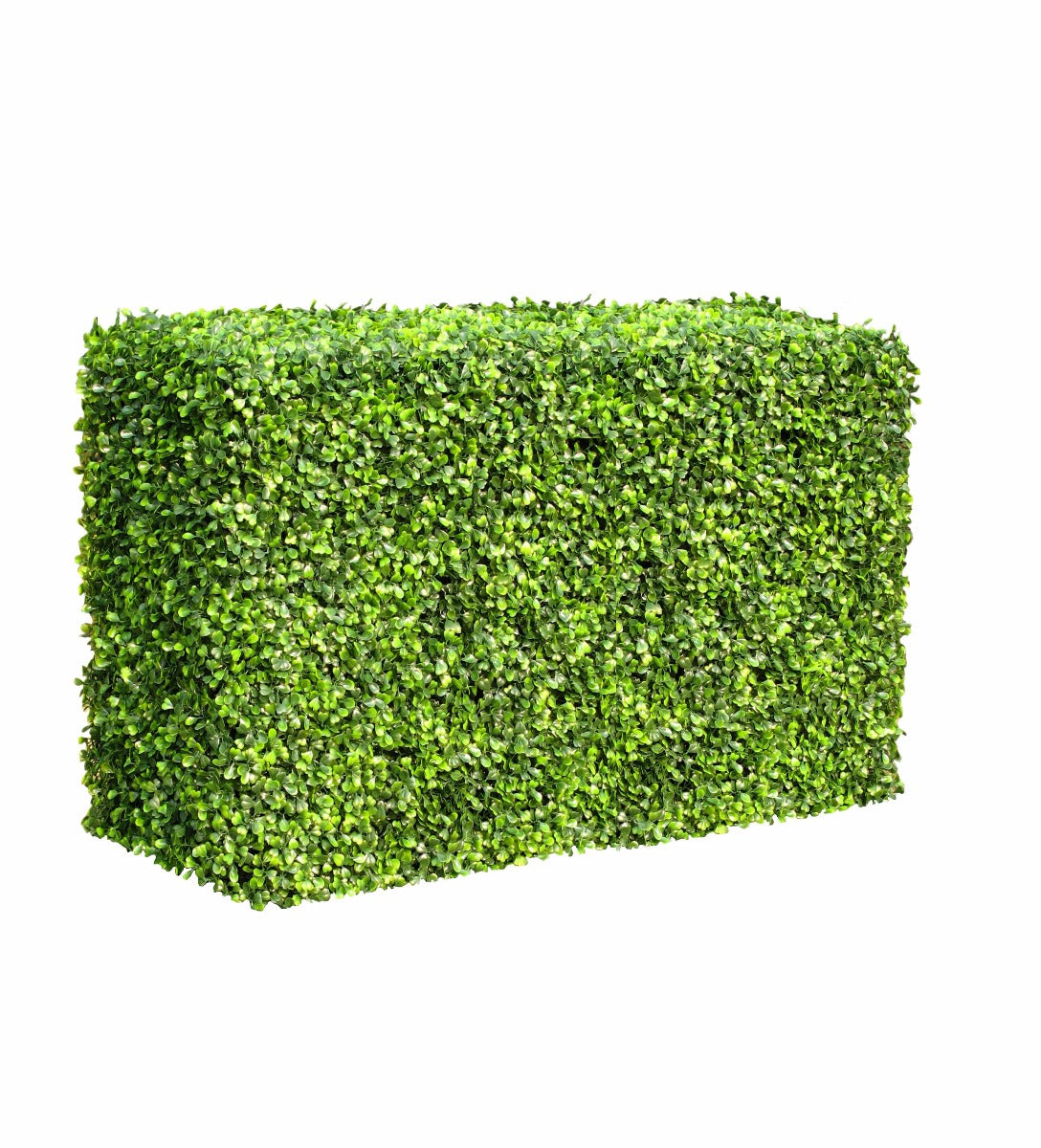 A portable boxwood hedge measuring 1m long, 50cm high, and 30cm deep, showcasing its lush green leaves and realistic appearance.