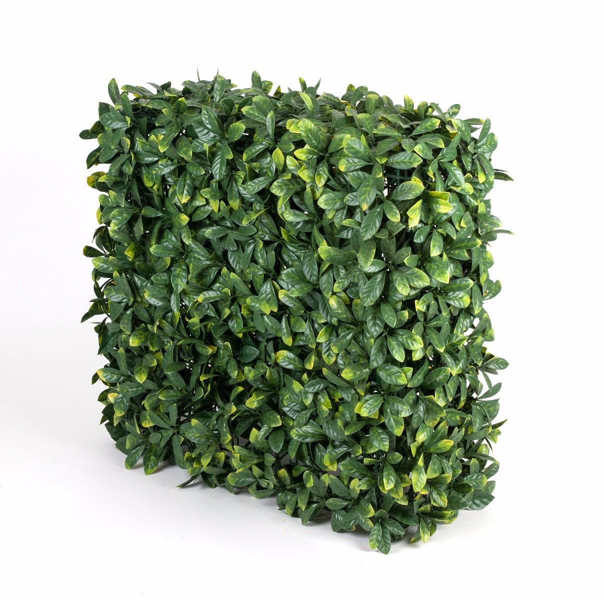 A lush, green Portable Laurel Hedge measuring 75cm x 75cm, perfect for indoor and outdoor decoration, showcasing its lifelike appearance and UV stability.