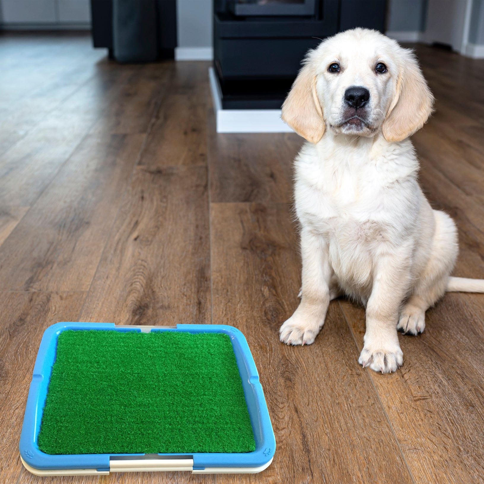 Portable Puppy Pet Toilet with artificial grass surface and shallow tray for easy cleanup, designed for indoor use.