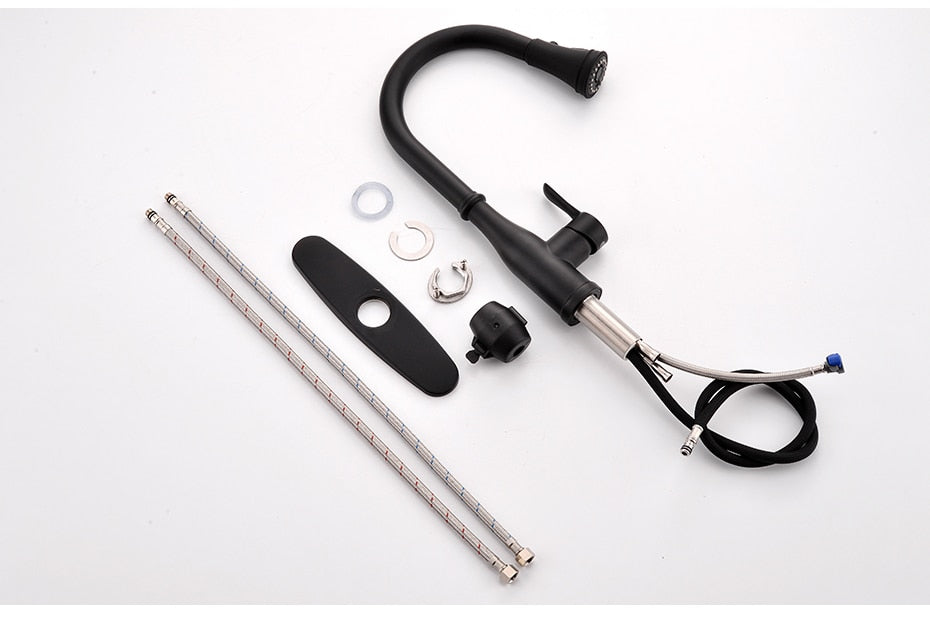 Black kitchen faucet with components