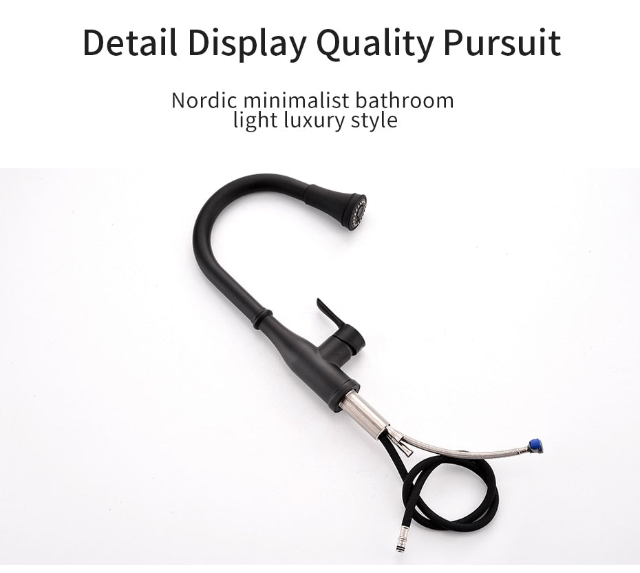 Black bathroom faucet with hose.