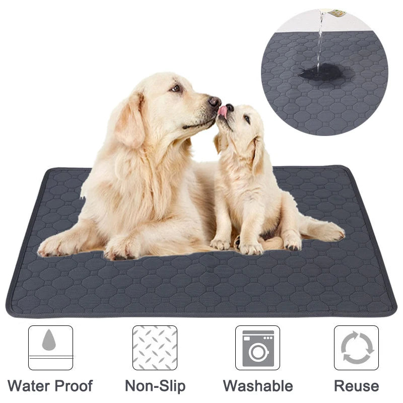 A soft and absorbent reusable pet diaper mat designed for dogs, featuring a non-slip backing and stylish design, perfect for training and comfort.