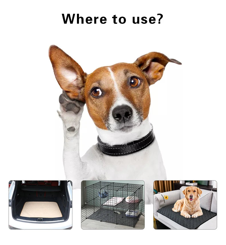 A soft and absorbent reusable pet diaper mat designed for dogs, featuring a non-slip backing and stylish design, perfect for training and comfort.