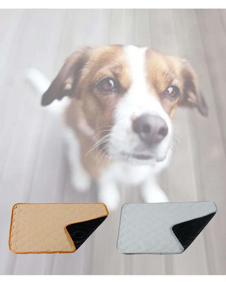 A soft and absorbent reusable pet diaper mat designed for dogs, featuring a non-slip backing and stylish design, perfect for training and comfort.