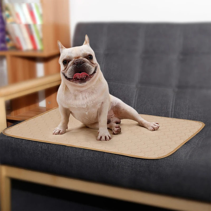 A soft and absorbent reusable pet diaper mat designed for dogs, featuring a non-slip backing and stylish design, perfect for training and comfort.