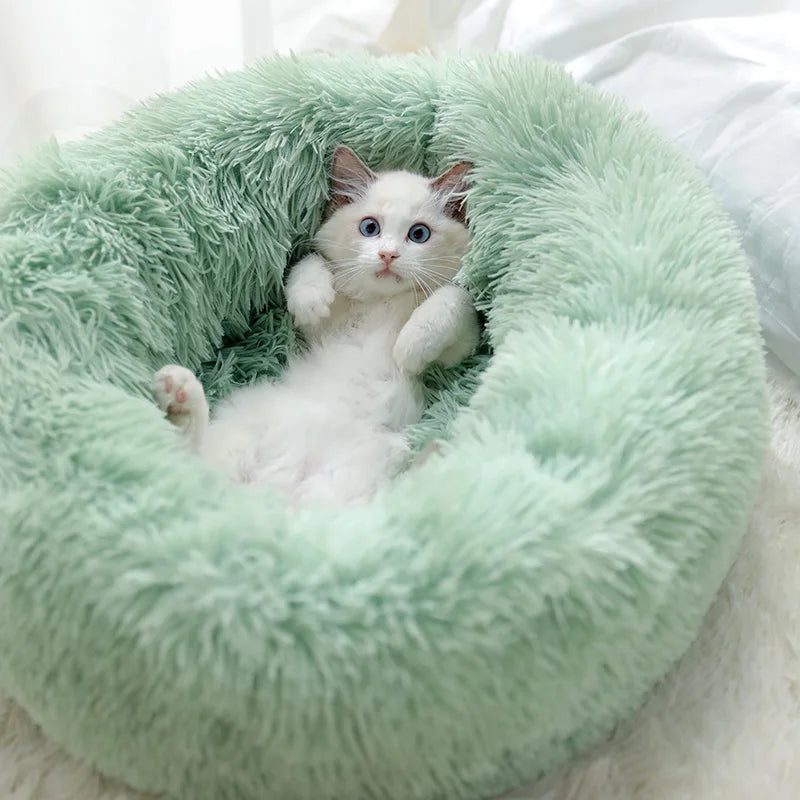 Round plush cat bed house designed for comfort and security, featuring a raised rim and soft velvet material.