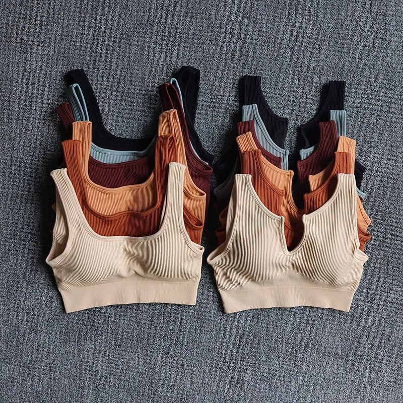 Seamless Sport Bra in various colors, designed for women's fitness and yoga activities, featuring padded support and a breathable nylon material.