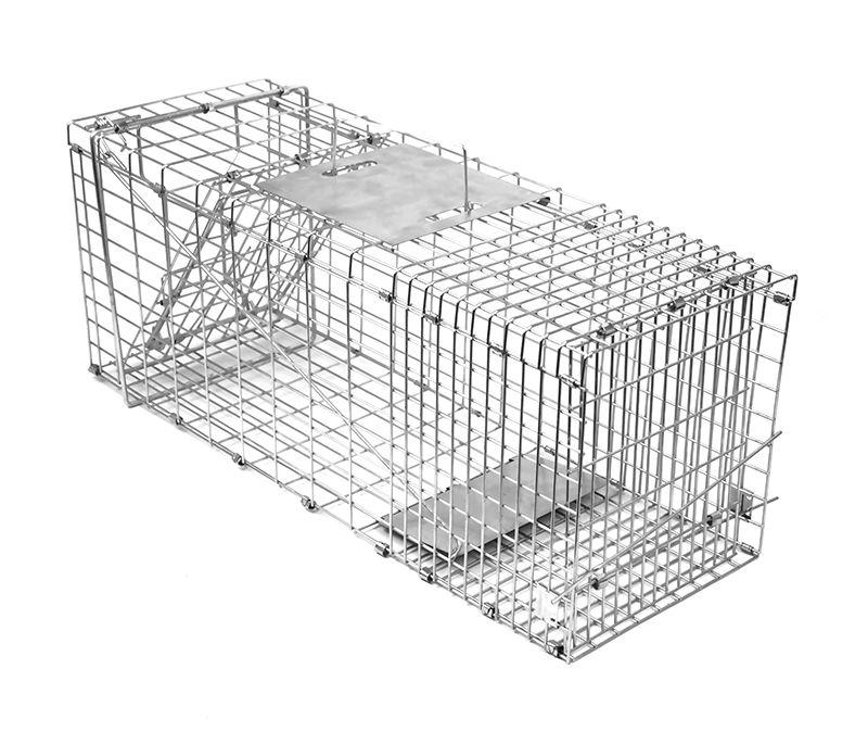 Humane possum cage trap made of galvanised iron wire, designed for safe animal capture and relocation.