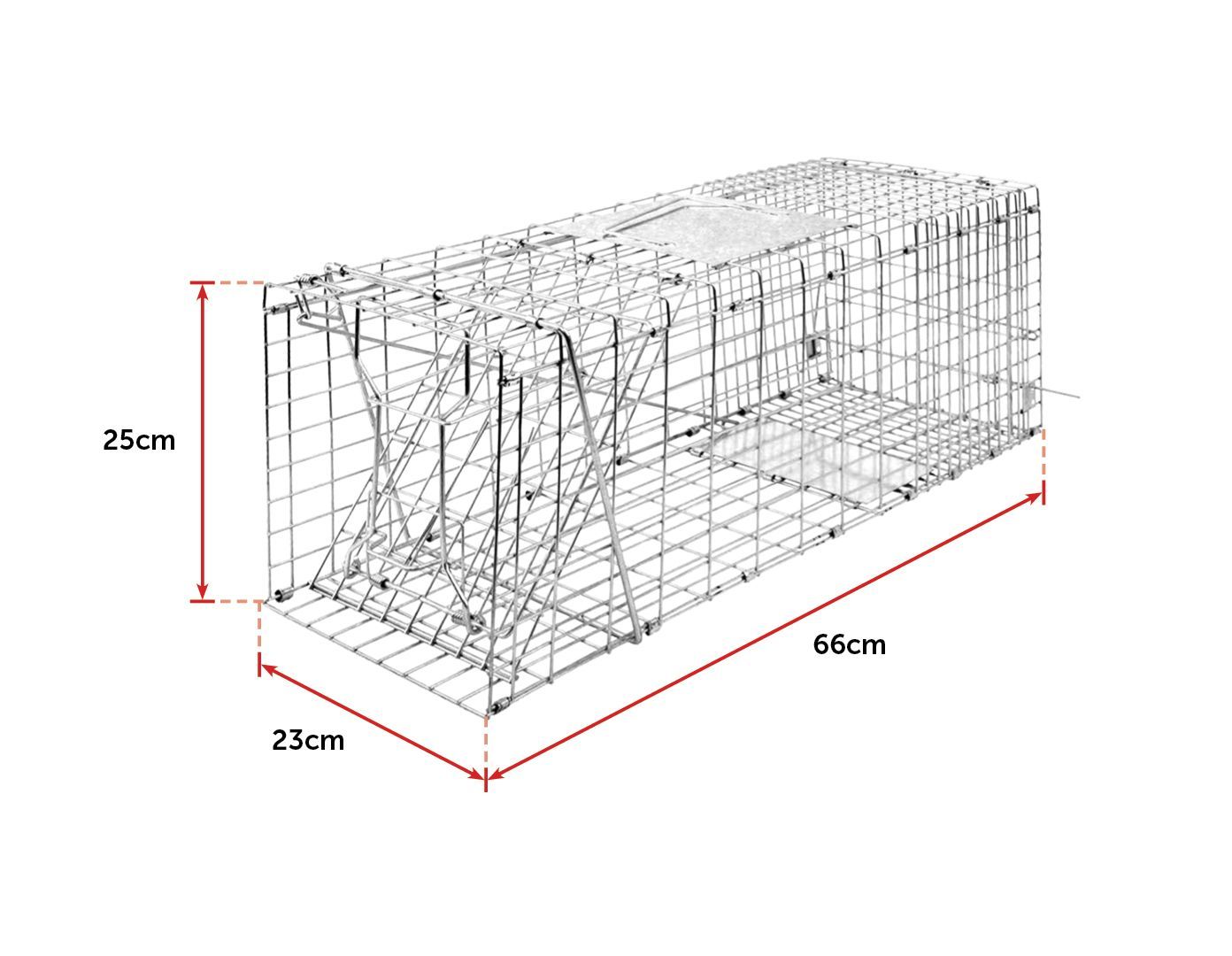 Humane possum cage trap made of galvanised iron wire, designed for safe animal capture and relocation.