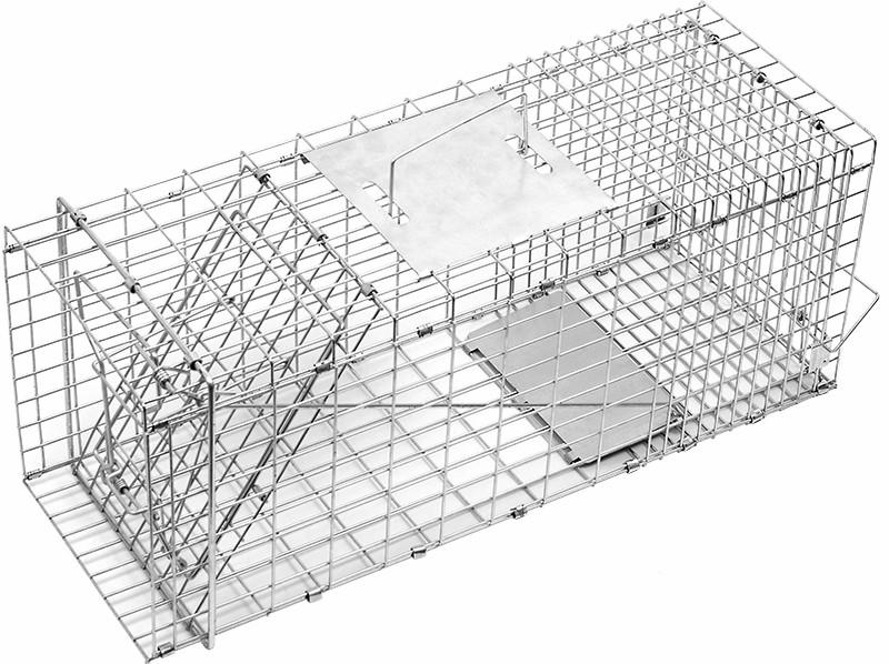 Humane possum cage trap made of galvanised iron wire, designed for safe animal capture and relocation.