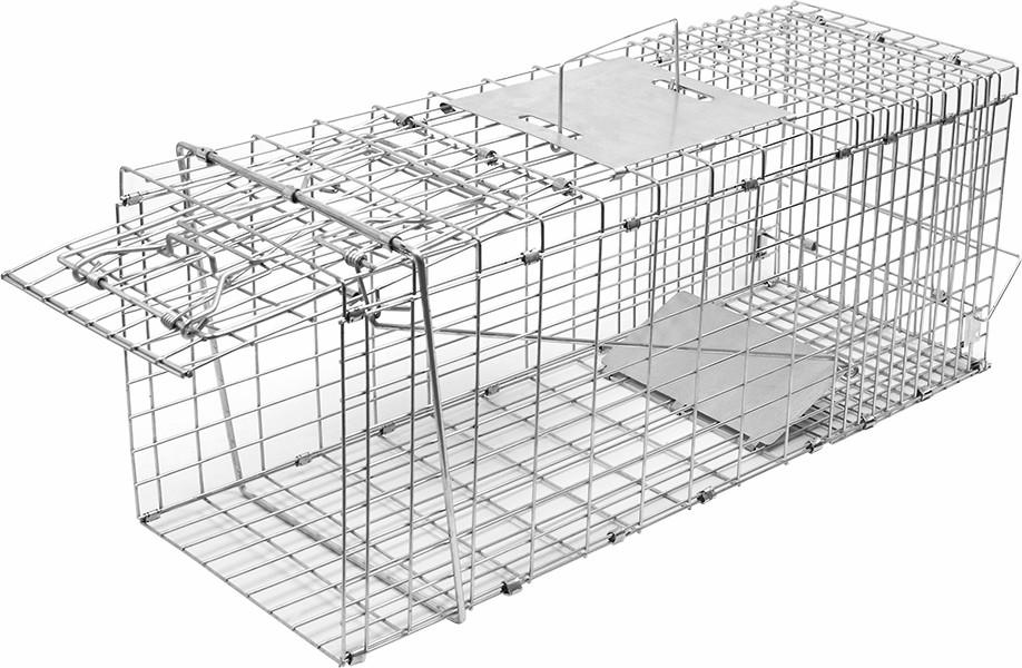Humane possum cage trap made of galvanised iron wire, designed for safe animal capture and relocation.