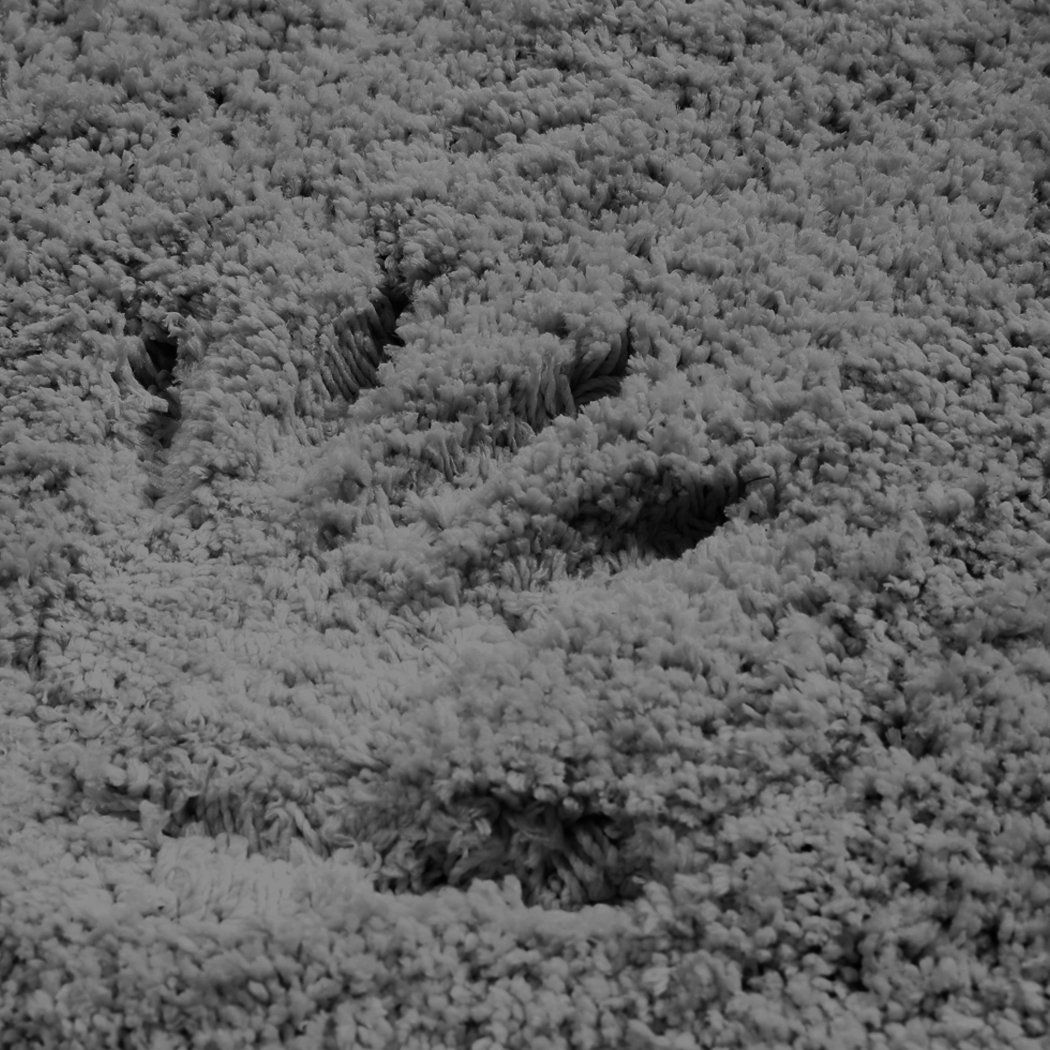 Ultra Soft Anti Slip Rectangle Plush Shaggy Floor Rug in a cozy living room setting, showcasing its thick pile and non-slip backing.