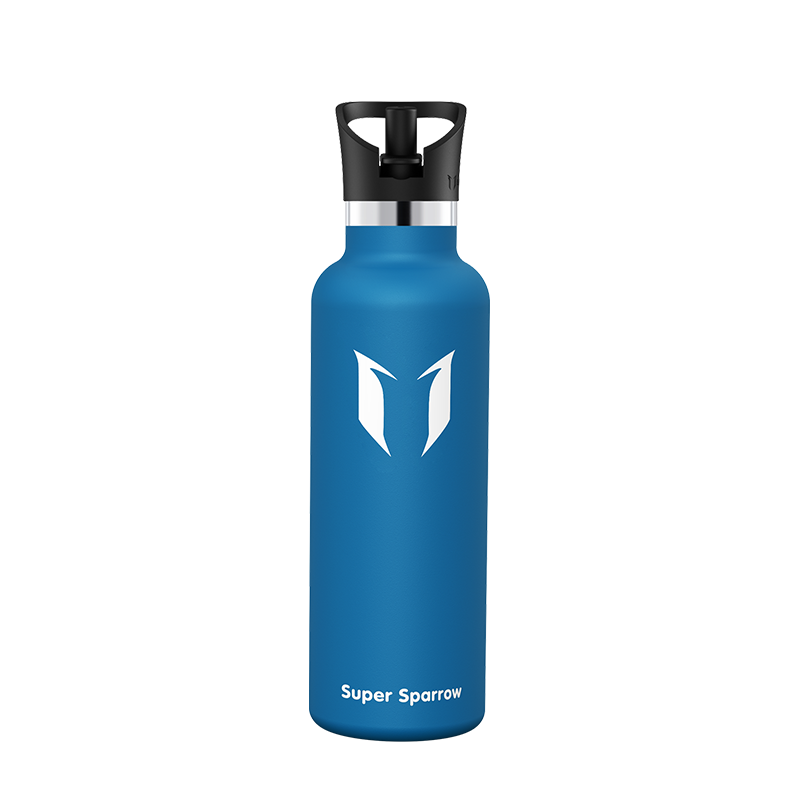 Ultra-Light Stainless Steel Water Bottle with Straw Lid, 25OZ, showcasing its sleek design and durable construction.