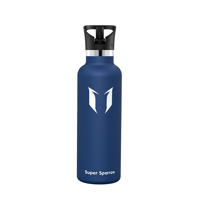 Ultra-Light Stainless Steel Water Bottle with Straw Lid, 25OZ, showcasing its sleek design and durable construction.