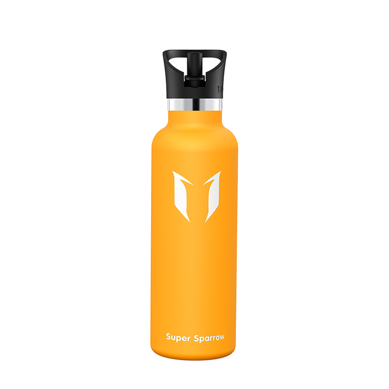 Ultra-Light Stainless Steel Water Bottle with Straw Lid, 25OZ, showcasing its sleek design and durable construction.