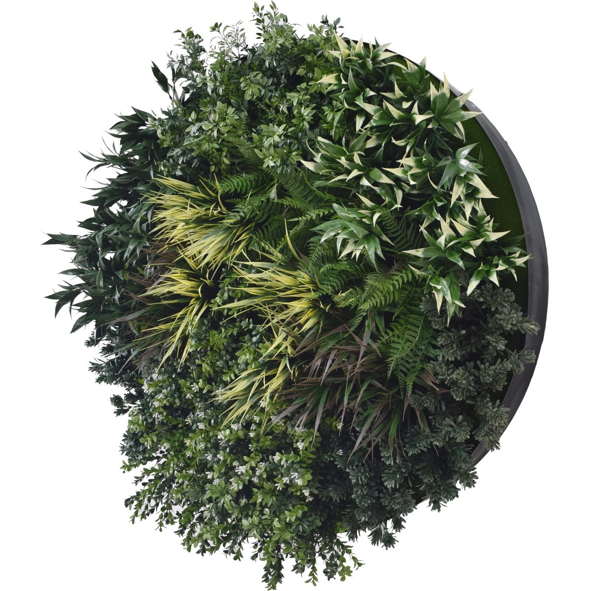 A vibrant UV Green Field Green Wall Disc (Black) 100cm featuring lush artificial foliage arranged on a painted metal disc, perfect for modern decor.