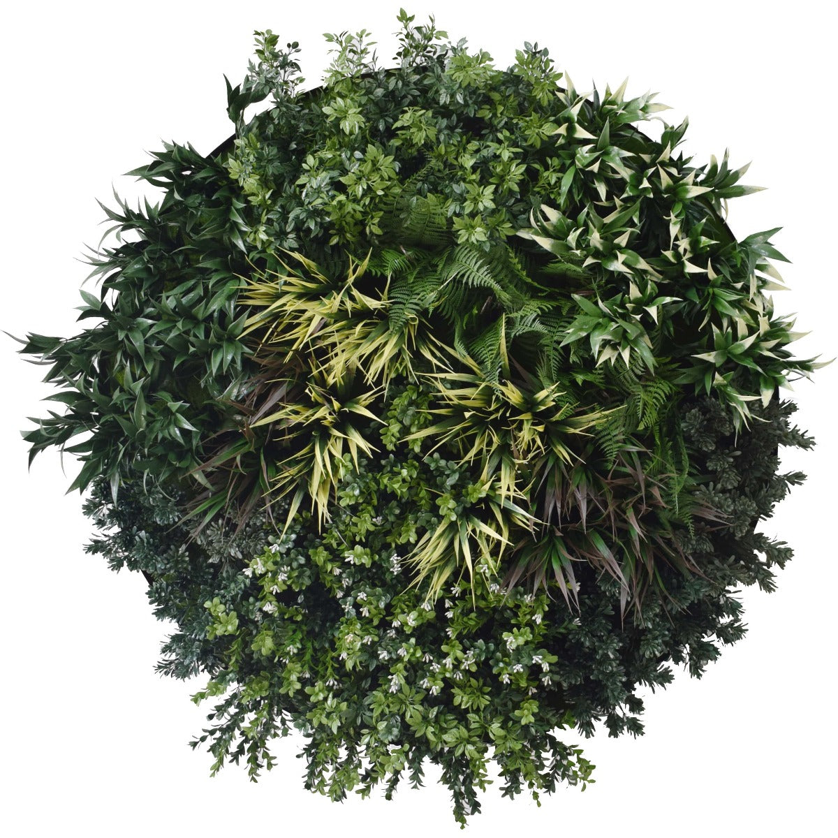 A vibrant UV Green Field Green Wall Disc (Black) 100cm featuring lush artificial foliage arranged on a painted metal disc, perfect for modern decor.