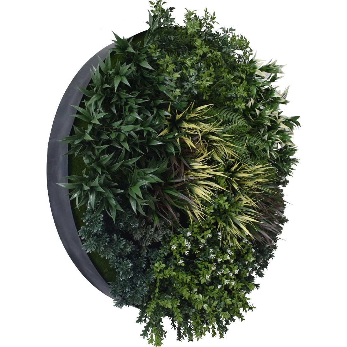 A vibrant UV Green Field Green Wall Disc (Black) 100cm featuring lush artificial foliage arranged on a painted metal disc, perfect for modern decor.