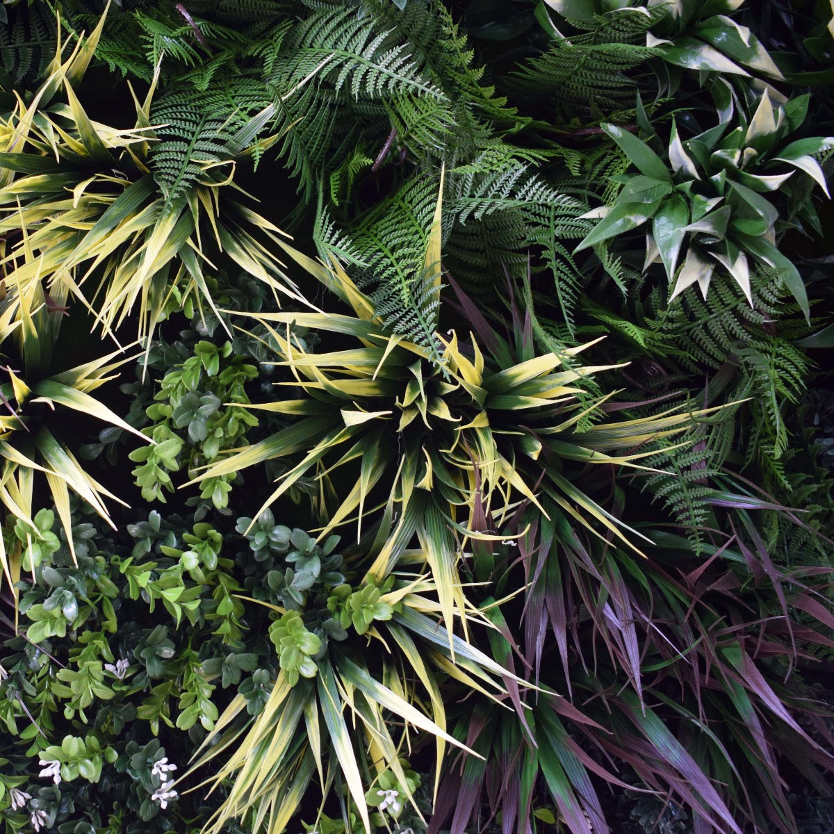 A vibrant UV Green Field Green Wall Disc (Black) 100cm featuring lush artificial foliage arranged on a painted metal disc, perfect for modern decor.