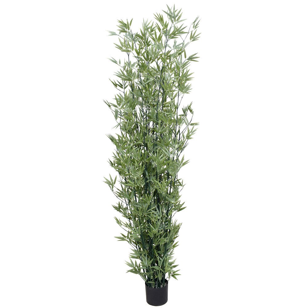 A tall 2.1m UV stabilized artificial Japanese bamboo with lush green leaves mounted on a green trunk, perfect for indoor and outdoor decor.