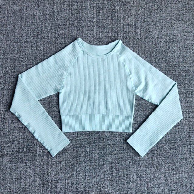 Women's seamless long sleeve yoga crop top in various colors, designed for fitness and comfort during workouts.