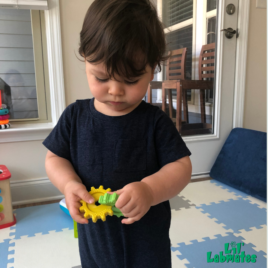 Colorful interlocking gears designed for children's play and education, showcasing various sizes and colors.