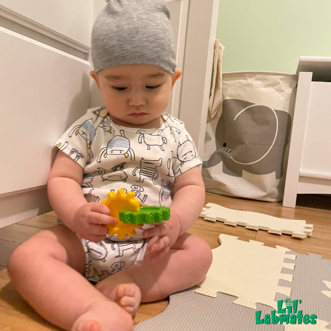 Colorful interlocking gears designed for children's play and education, showcasing various sizes and colors.