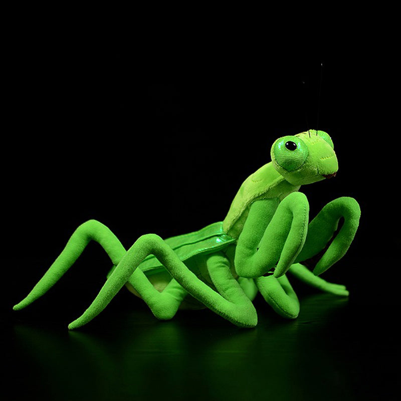 A vibrant pink and green lifelike praying mantis plush toy, showcasing exquisite craftsmanship and soft materials, perfect for kids.