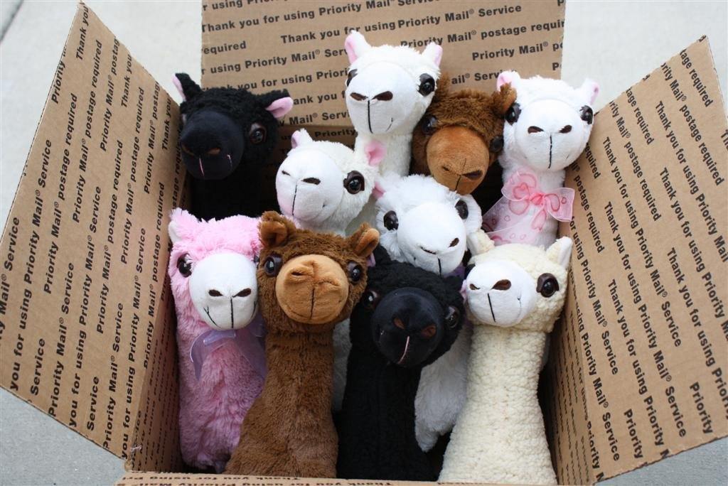 A collection of PacaBuddies Stuffed Alpaca Toys in various colors, showcasing their cute and cuddly design, perfect for alpaca lovers.