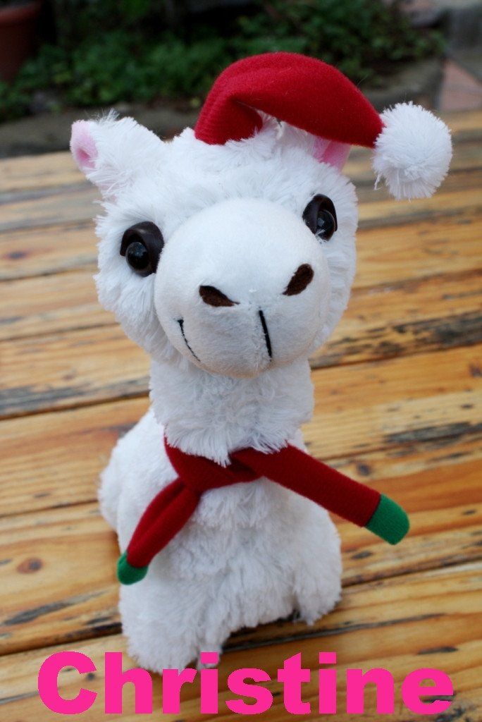 A collection of PacaBuddies Stuffed Alpaca Toys in various colors, showcasing their cute and cuddly design, perfect for alpaca lovers.