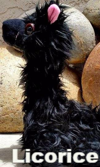 A collection of PacaBuddies Stuffed Alpaca Toys in various colors, showcasing their cute and cuddly design, perfect for alpaca lovers.