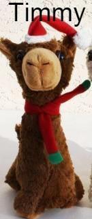 A collection of PacaBuddies Stuffed Alpaca Toys in various colors, showcasing their cute and cuddly design, perfect for alpaca lovers.