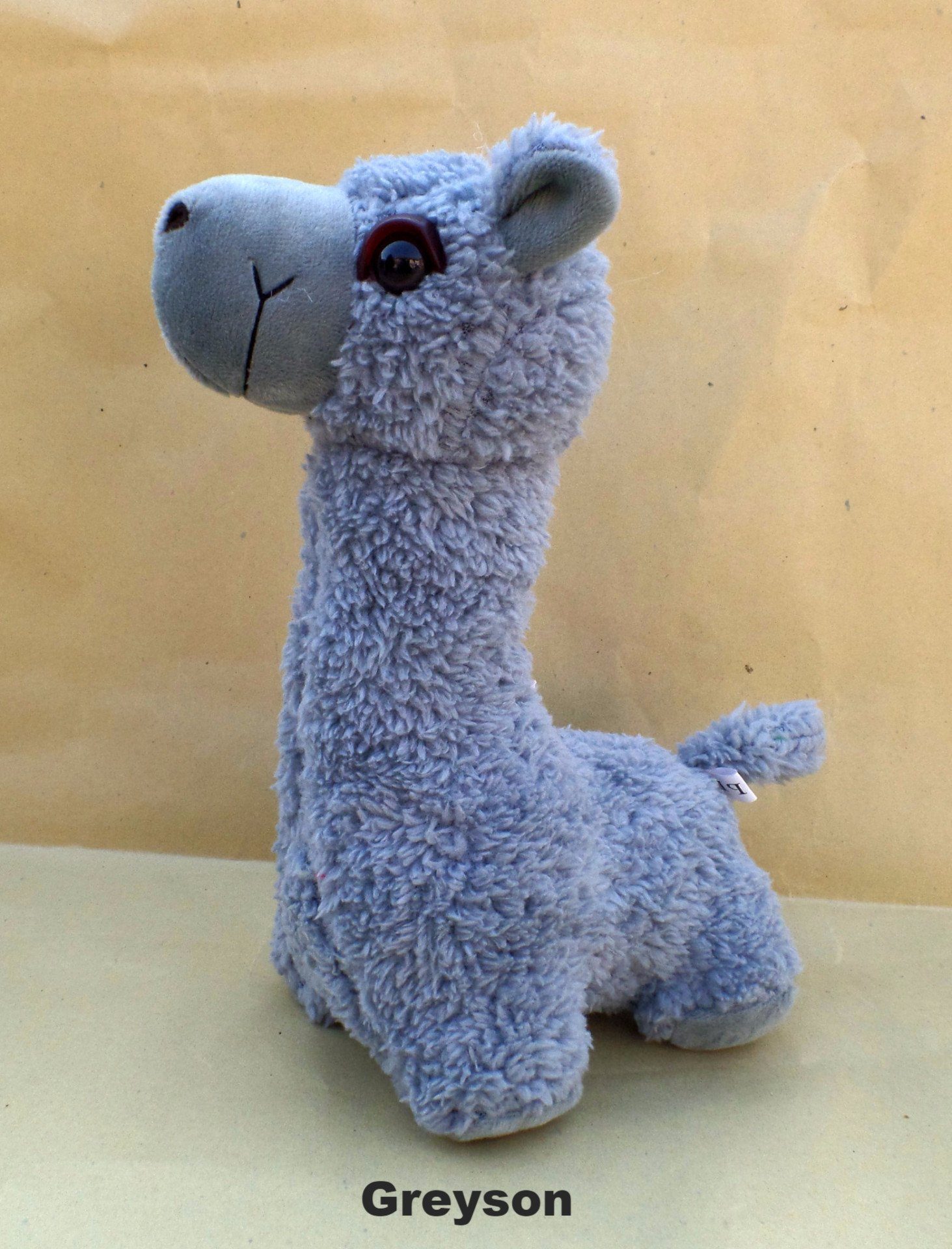 A collection of PacaBuddies Stuffed Alpaca Toys in various colors, showcasing their cute and cuddly design, perfect for alpaca lovers.